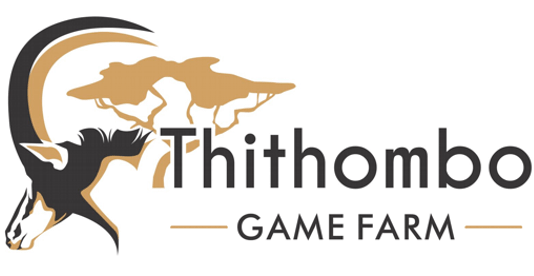 Thithombo Game Farm - Hunting Packages
